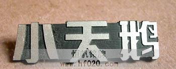 小天鵝 小天鵝