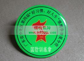 中國少年先鋒隊(duì)-廣東隊(duì)