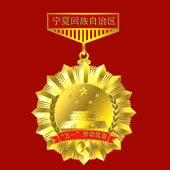 2011年4月 寧夏回族自冶區(qū)五一勞動獎?wù)露ㄖ? title=