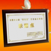 2015年3月：中共貴陽(yáng)市委表彰先進(jìn)獎(jiǎng)牌高檔鈦金獎(jiǎng)牌定制