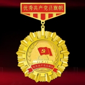 2015年10月訂做　安康市委優(yōu)秀共產(chǎn)黨員榮譽勛章獎章證章制作