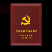 2015年10月設(shè)計(jì)制作　安康市委表彰優(yōu)秀共產(chǎn)黨員功勛章設(shè)計(jì)制作