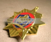 山東省公安廳獎(jiǎng)?wù)?金屬勛章
