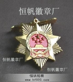 安徽省政府表彰獎?wù)?特殊貢獻(xiàn)獎獎?wù)?杰出貢獻(xiàn)獎勛章純金勛章