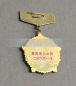 國家電網(wǎng)電力公司先進工作者獎章,先進工作者勛章