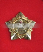 金質(zhì)模范獎章,金質(zhì)模范勛章,五角勛章,五角獎章,鍍金獎章勛章